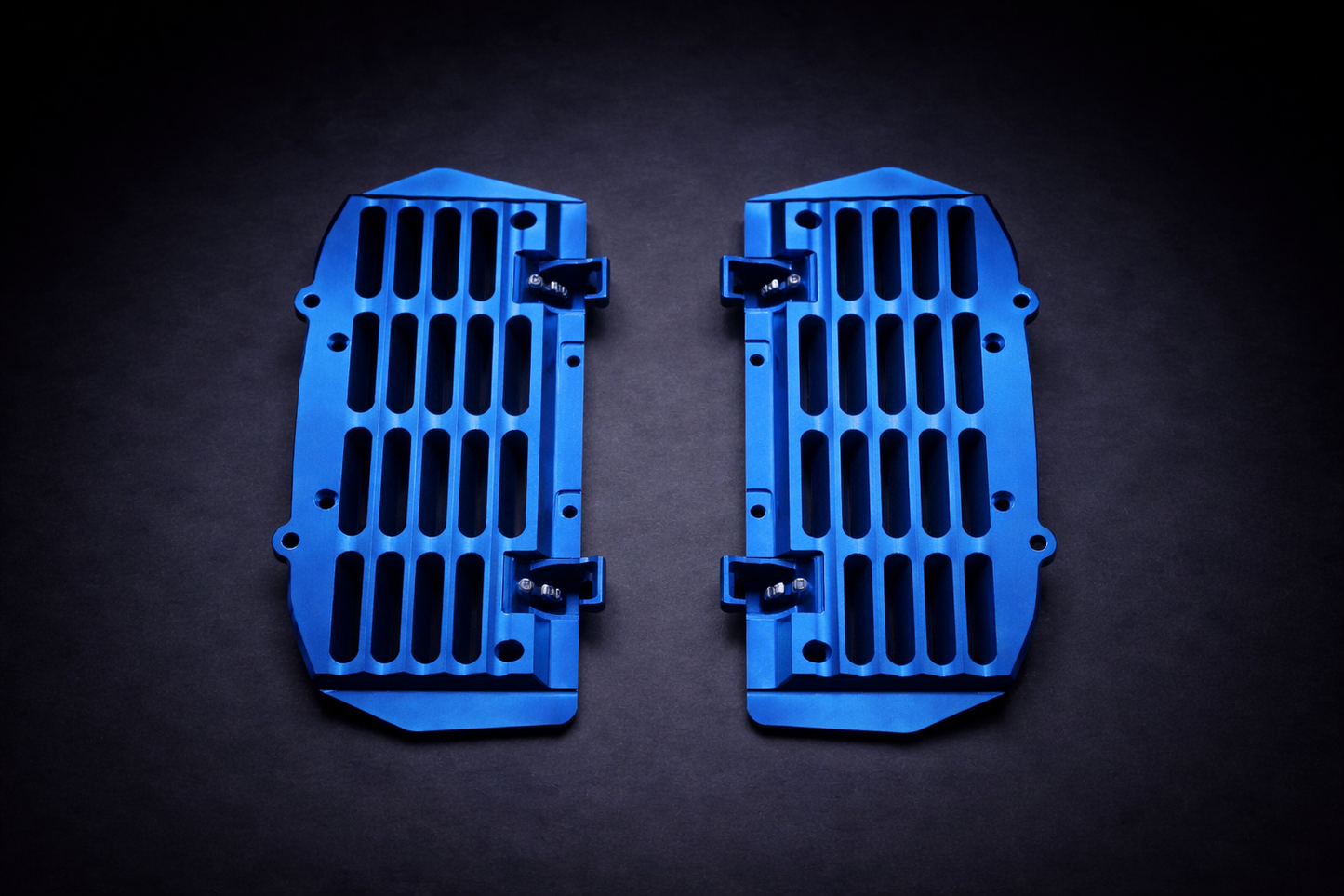 Alu Kühlerschutz GasGas