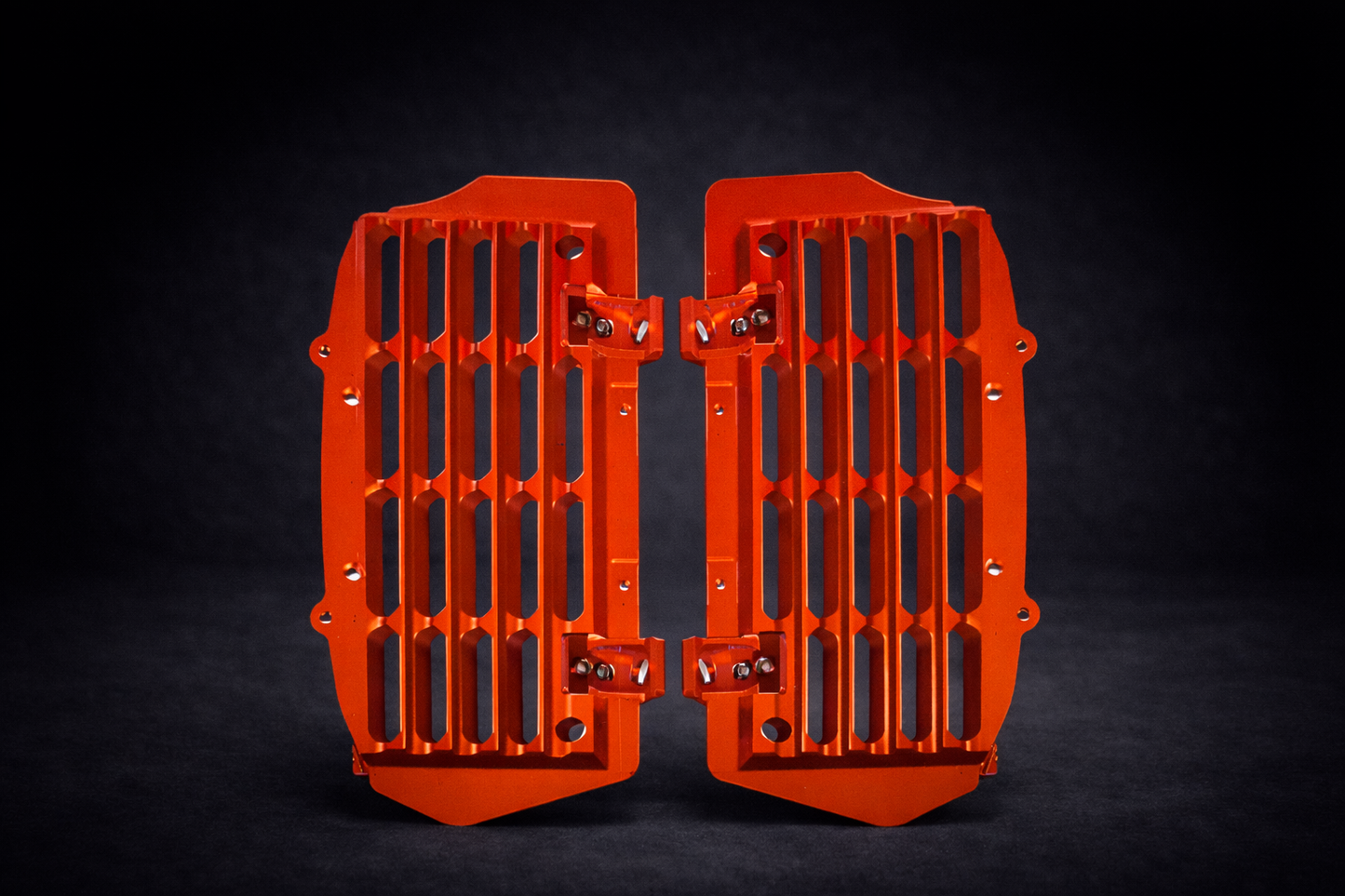 Alu Kühlerschutz GasGas