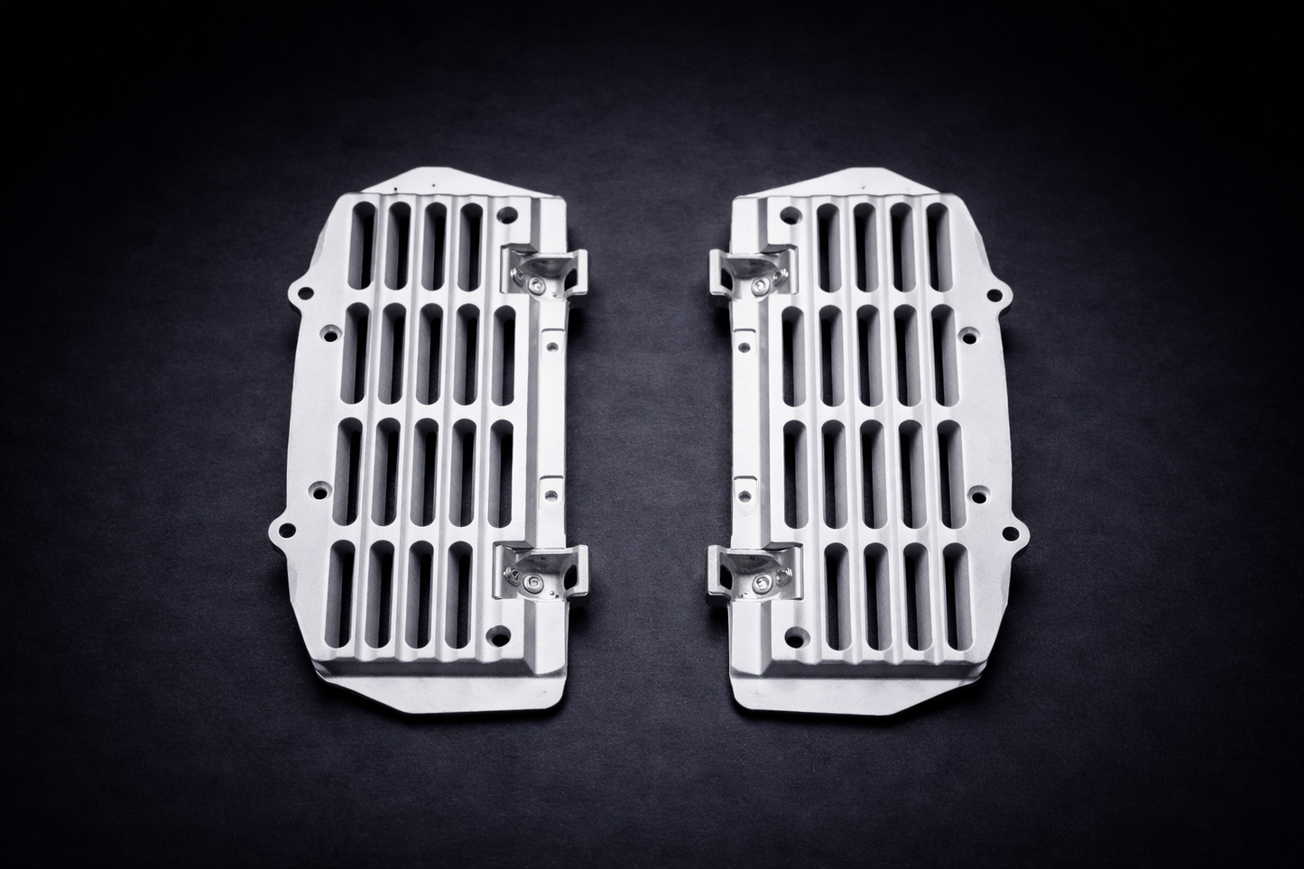 Alu Kühlerschutz EXC 2024